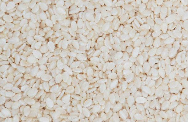 Hulled Sesame Seeds Manufacturer Supplier Wholesale Exporter Importer Buyer Trader Retailer in Rajkot Gujarat India